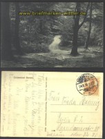 Bansin Ostseebad sw-AK Waldweg 1916 (d2078)