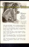 Karl Rickels hinter einer Gartenmauer ungebr. (d0868)