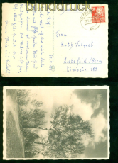 SBZ MI # 222 EF auf Auslands-Postkarte Chemnitz 27.5.1951 Liebefeld /Bern(58442)