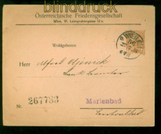 sterreich Firmen Privatumschlag sterreichische Friedensgesellschaft 1905(58185