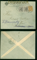 sterreich 6 Heller Firmen Privatumschlag mit 2 x 120 Perfin S. Reich  (58188)