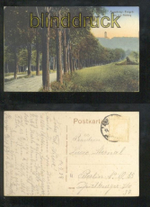 ANNABERG farb-AK Weg zum Phlberg 1924 (d6877)