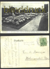 Dresden sw-AK III. int. Gartenbauausstellung (d1310)