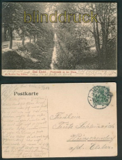 Bad Elster sw-AK Promenade an der Elster 1907 (d5360)