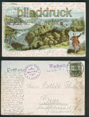 Wachwitz Dresden farb-AK Gruss vom Wachberg 1906 (d5380)