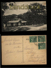 Gasthaus am Ugleisee sw-AK mit 600jhriger Rieseneiche 1923 (d5533)