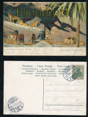 HAMBURG farb-AK Carl Hagenbecks Tierpark Stellingen 1907 (d7131)