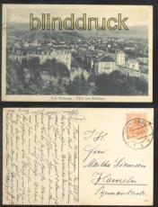 BAD WILDUNGEN sw-AK Blick vom Waldhaus 1918 (d0177)