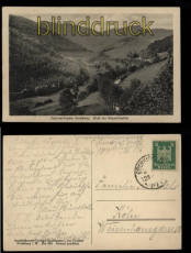 Schmallenberg sw-AK Sommerfrische Nordenau Blick ins Nesselbachtal 1927 (d5693)