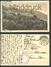 Heidelberg sw-AK Schloss Feldpost 1917 (d3036)