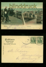 BORKUM farb-AK Strandleben 1906 Bahnpost (d6575)
