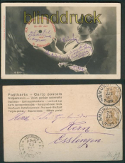 Tbingen sw-Foto-AK XIX. Wrtt. Landessschiessen 1904 (d4704)