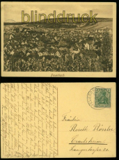 Feuerbach sw-AK Gesamtansicht 1914 (d5881)