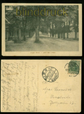 LINGEN sw-AK Unter den Linden 1915 (d0041)