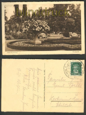 Bad Pyrmont sw-AK Kurpark 1928 (d3215)