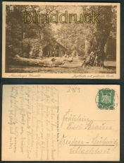 Neuenburger Urwald sw-AK Jagdhtte 1927 (d4899)