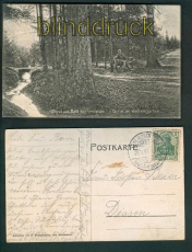 Bad Rothenfelde sw-AK Partie im Wellengarten 1907 (d5123)