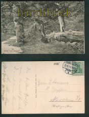 Neuenburg sw-AK Gru vom Urwald 1913 (d5284)