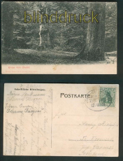 Neuenburg sw-AK Gru vom Urwald 1908 (d5285)