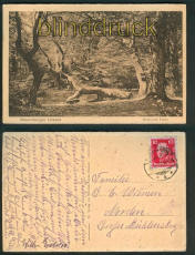 Neuenburg sw-AK Neuenburger Urwald 1927 (d5292)