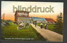 Neue Schlesische Baude farb-AK ungebraucht (d3954)