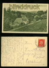 BAD ALTHEIDE sw-AK Wiesengrund 1924 (d6421)