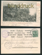 Isergebrige sw-AK Restauration Hochstein 1901 (d5402)