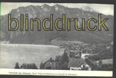 stereich sw-AK Unterach am Attersee ca. 1915 (a0381)