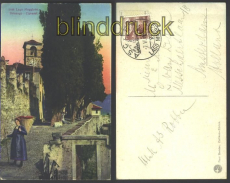Schweiz Lago Maggiore farb-AK Brissago - Cipress(a0476)