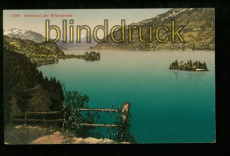 ISELTWALD am Brienzersee farb-AK Panoramaansicht ungebraucht (a2074)