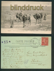 Biskra sw-AK une Caravane au col de Sfa 1907 (a0895)