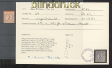 dt. Reich Mi # 29 ungebraucht mit Falz (35927)