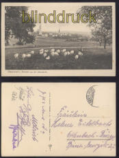 Oberursel i. Taunus sw-AK von der Uhlandsruhe (d8062)