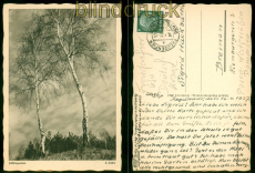 Freudenfier �ber Deutsch-Krone Aufgabestempel 16.4.1937  (53176)