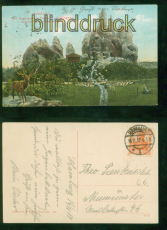 Hamburg farb-AK Hagenbecks Tierpark Stellingen 1917 nach Neumnster (d8977)