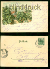 Freiburg i. Br. farb-AK Teilansicht mit Mnster 1897 nach Burbach (d8577)