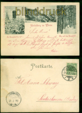 Heidelberg sw-AK im Winter drei Ansichten 1899 nach Leutershausen (d8603)