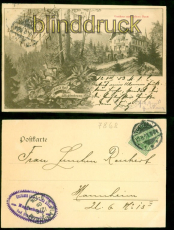 Muggenbrunn Waldheil sw-AK Gasthaus zum grnen Baum 1903 nach Mannheim (d8683)