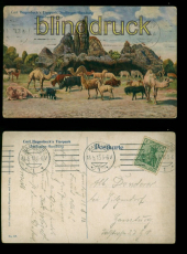 Hamburg farb-AK Carl Hagenbecks Tierpark Stellingen 1913 Ortspostkarte (d9901)