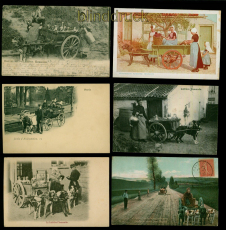 Belgien/Frankreich 6 AK mit Hundekarren ca. 1900/1910 gelaufen/ungebraucht(a2271