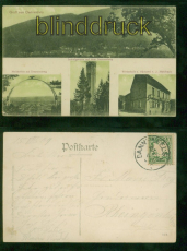 Dannenfels sw-AK Gru aus ..... vier Ansichten 1909 nach Rheingnheim (d9460)