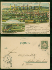 Bad Drkheim Litho-AK Gru vom .... 2 Ansichten 1900 nach Nieder-Flrsheim(d9465