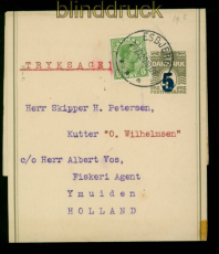 Dnemark Streifband # 16 Auslands-Drucksache MiF 1920 nach Holland (55269)