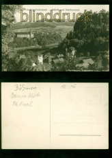 Tetschen-Bodenbach sw-AK Schlo und Schferwand ungebraucht (d9792)