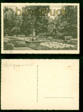Bad Polzin sw-AK Parkanlagen ungebraucht (d9835)