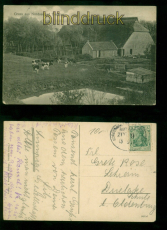 Tossens sw-AK Gruss aus Nordseebad Tossens 1919 nach Drielake Bahnpost (d10086)