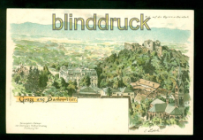 Badenweiler Litho AK Gruss aus .... Blick auf die Vogesen und Rheinthal (d10177)