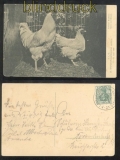dt. Reich LEIPZIG Landwirtschaftliche Ausstellung 1909 auf Ausstellungskarte (42682)
