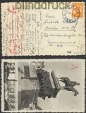 Bulgarien Auslands-Zensur-Karte Sofia 30.10.1940 nach Berlin (44868)