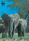 Elefant Uganda Mi # 960/63 postfrisch, FDC und MK (26188)